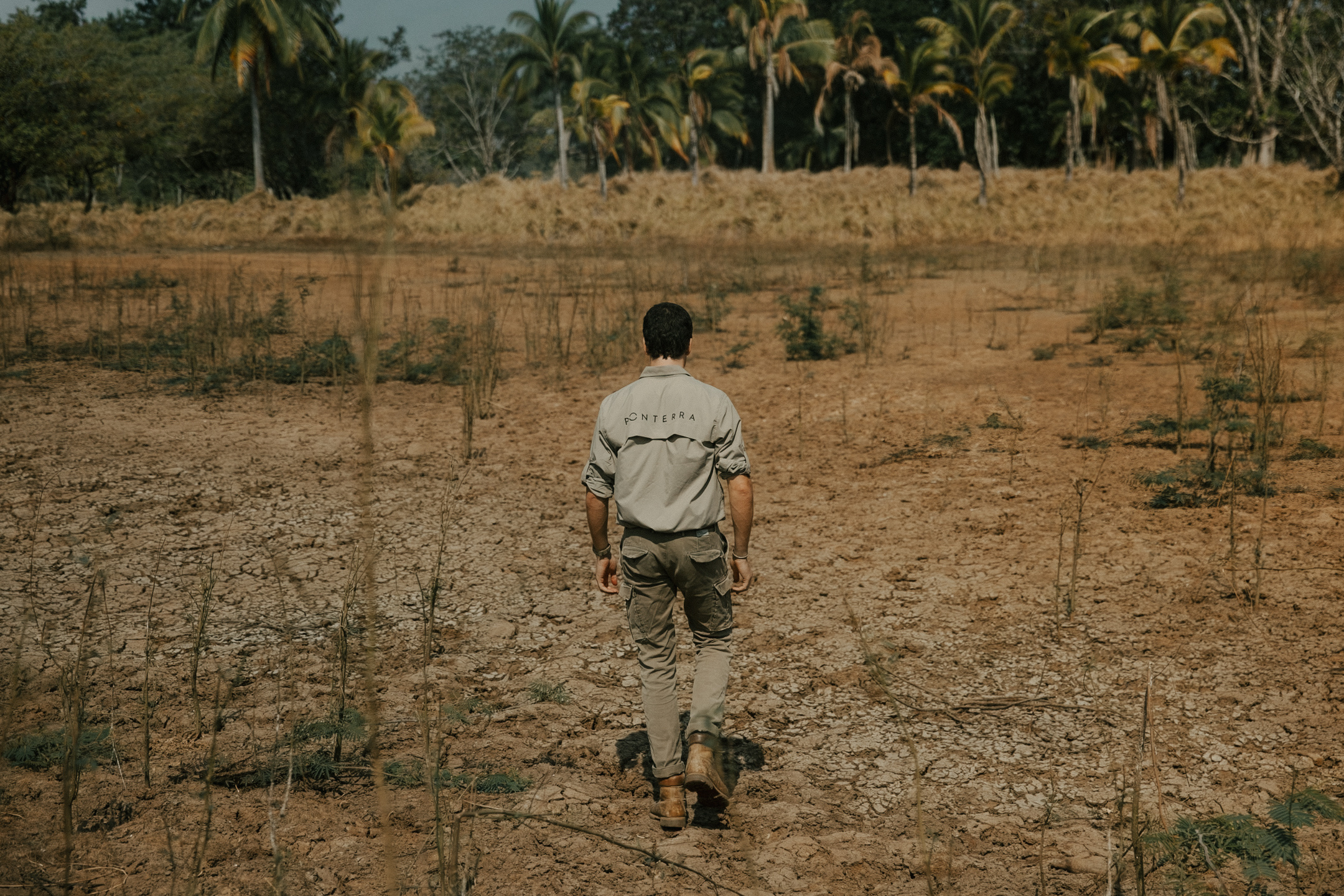 Documentary photography