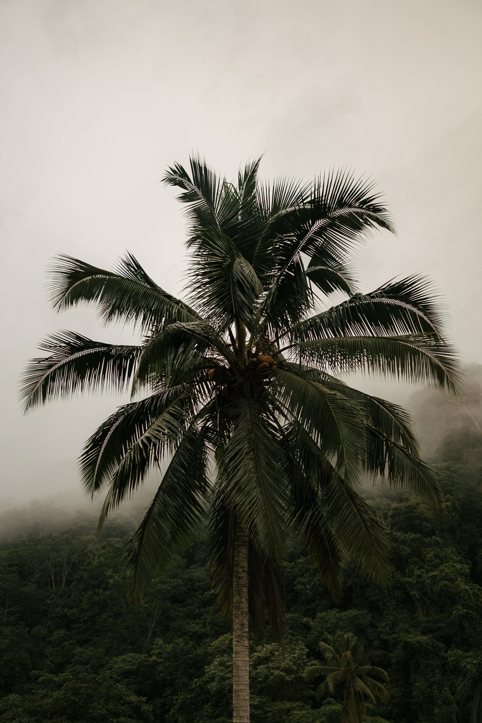 Documentary photography