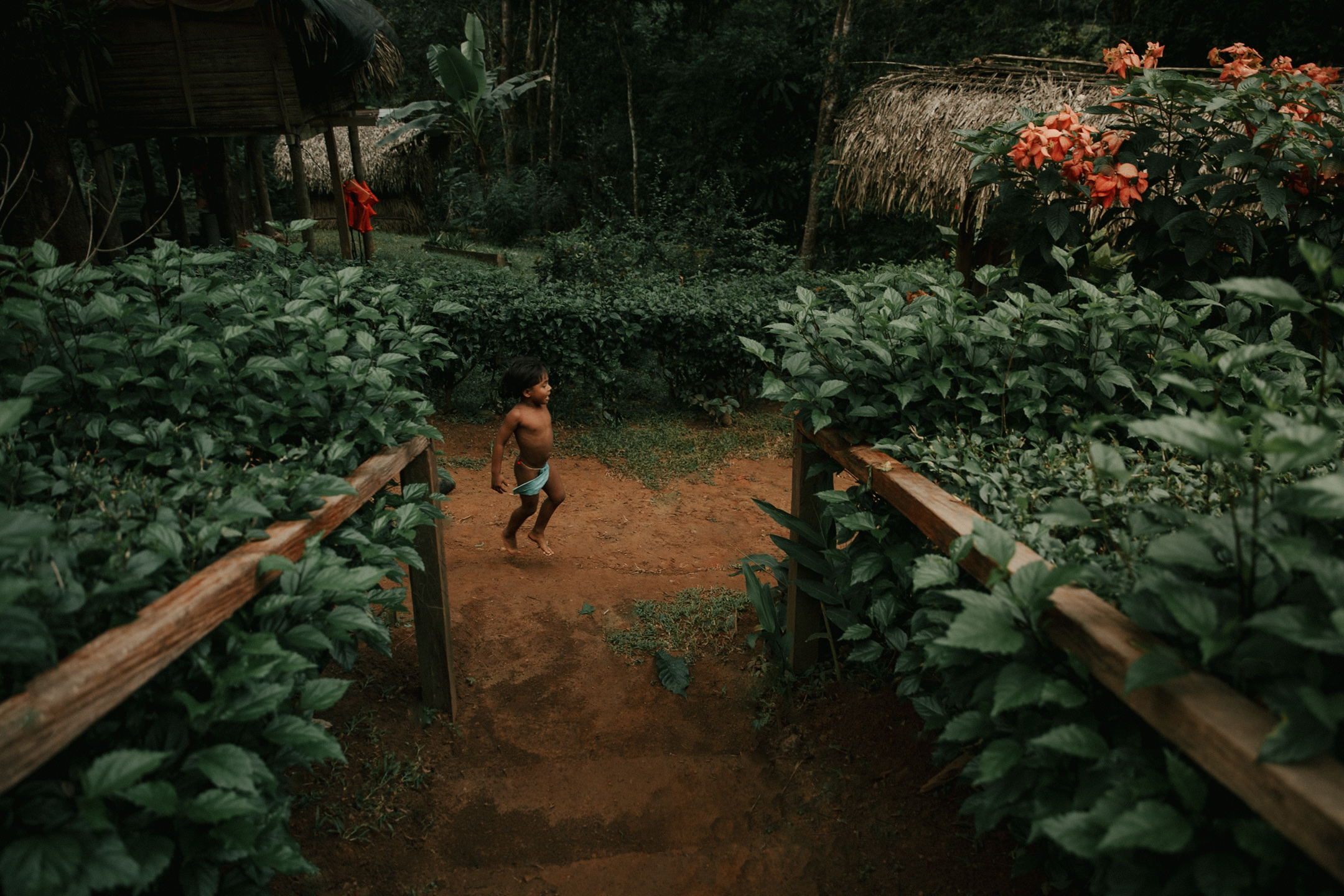 Documentary photography