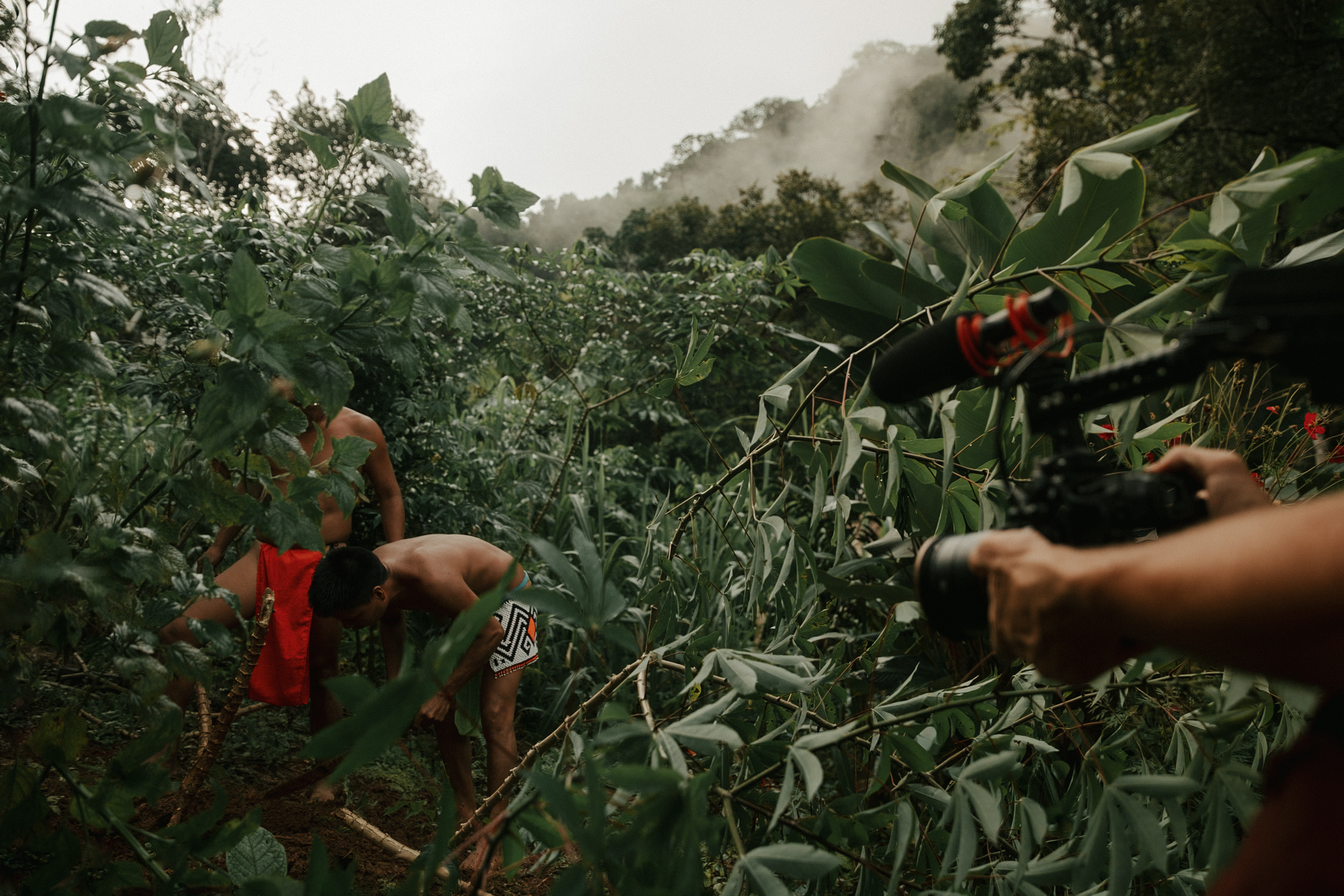 Documentary photography