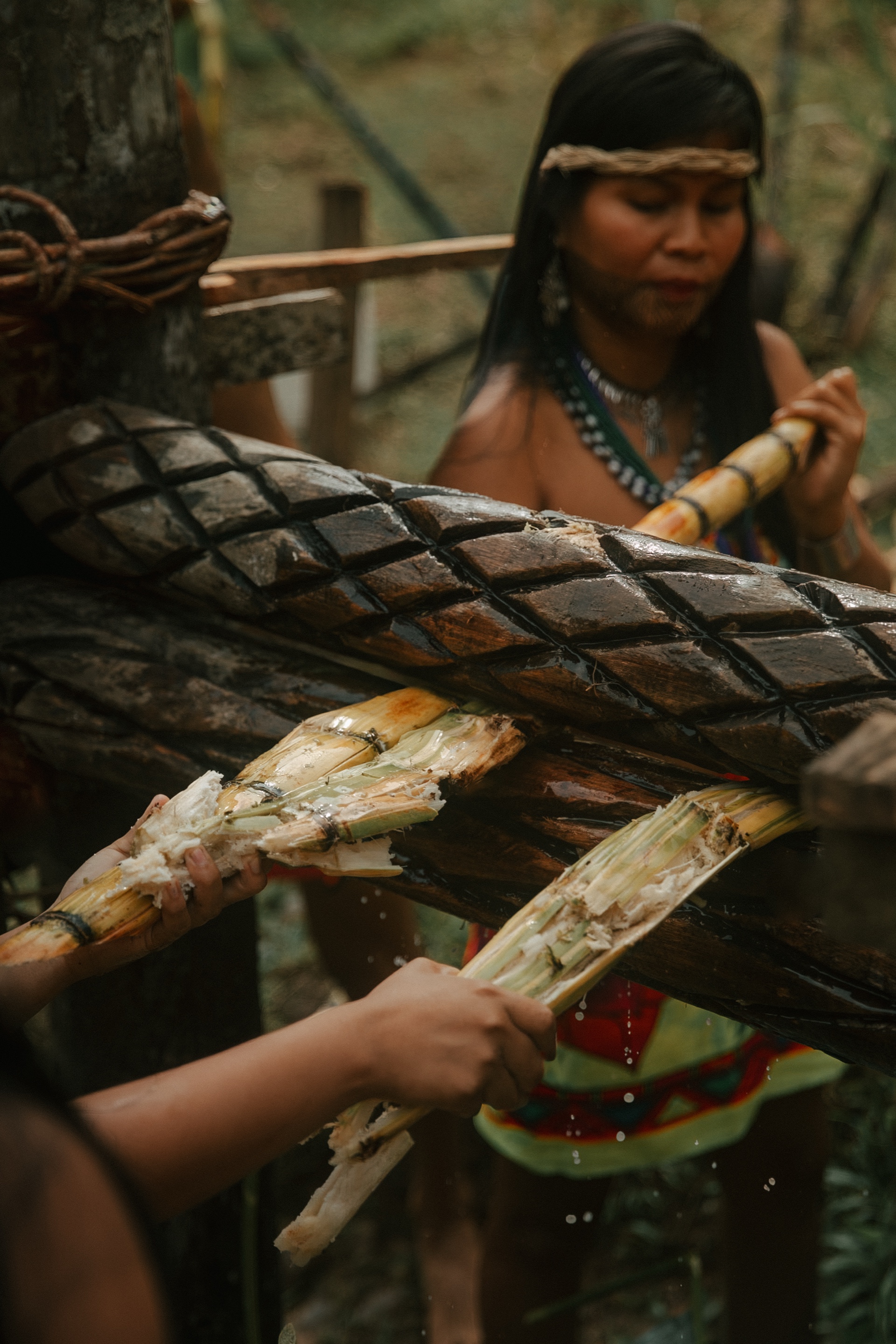 Documentary photography