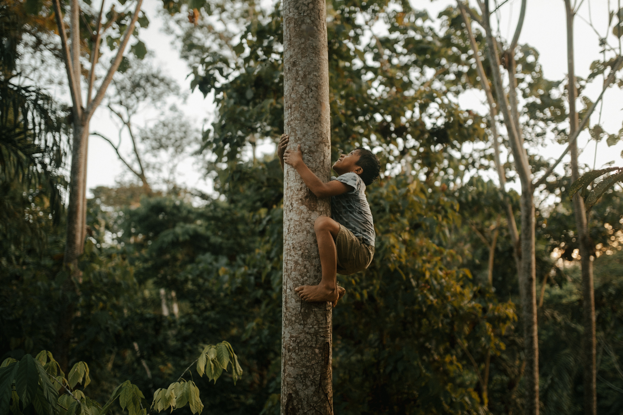 Documentary photography