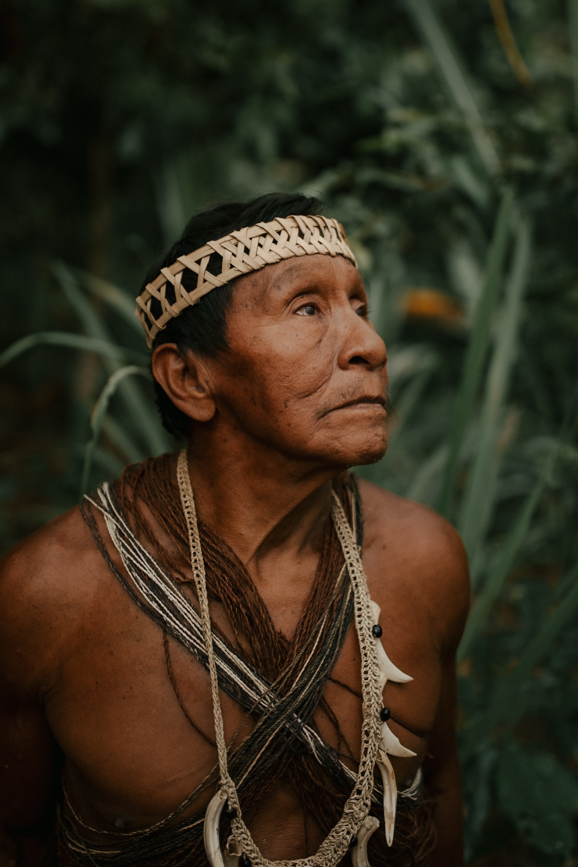 Documentary photography